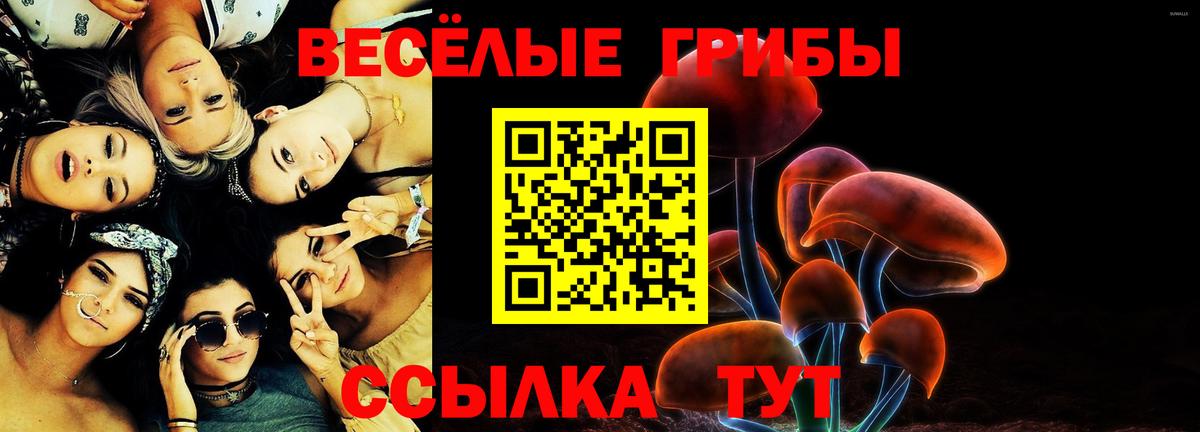 сколько стоит  Вход с VPN  Нефтекамск  Галлюциногенные грибы Magic Shrooms 